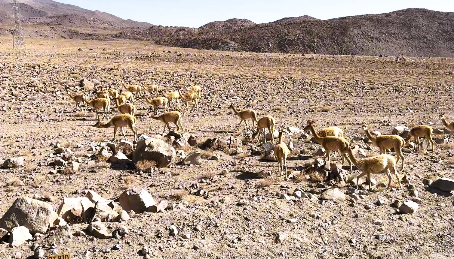Respeto por la Biodiversidad Andina